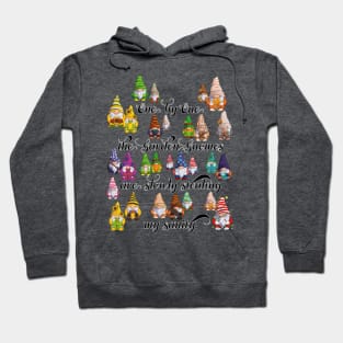 Garden Gnomes Stealing My Sanity Hoodie